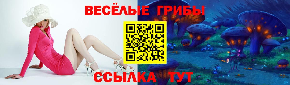 Псилоцибиновые грибы Psilocybe  где можно купить наркотик  Соликамск  Вход с VPN 